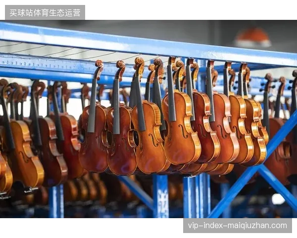 单一互动程序供应商能否支撑大型赛事，主办方为何拒绝捆绑式软件采购